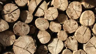 Le rôle essentiel du négociant en bois dans la distribution de matériaux