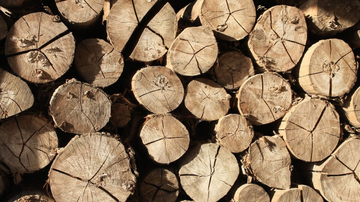 Le rôle essentiel du négociant en bois dans la distribution de matériaux