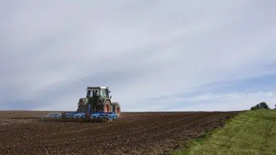 Professionnel du domaine de l'agroalimentaire : pourquoi contacter un fabricant de machines industrielles sur mesure?