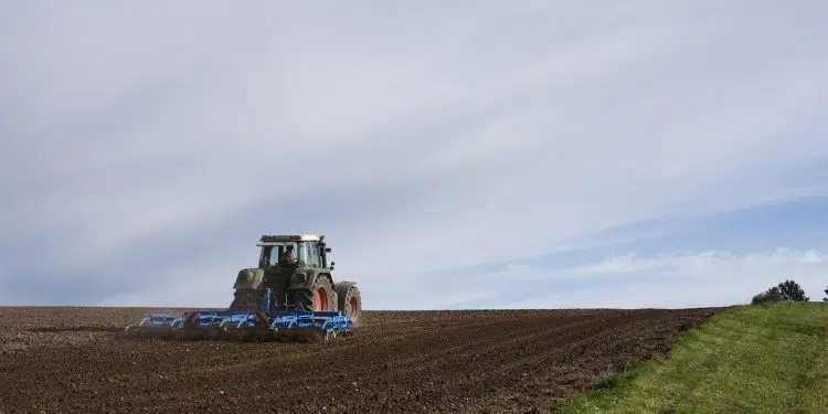 Professionnel du domaine de l'agroalimentaire : pourquoi contacter un fabricant de machines industrielles sur mesure?